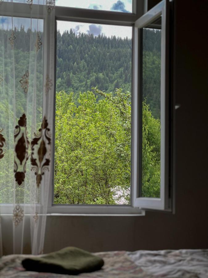 Barbara'S Eco-Cozy Guesthouse Местия Екстериор снимка